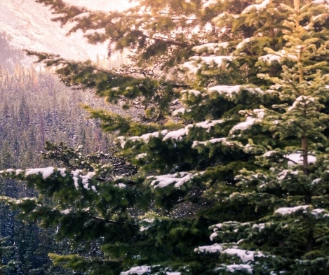 粉象生活怎么赚钱?操作一个月收入3