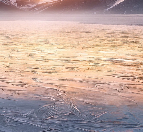 粉象生活是干嘛的APP