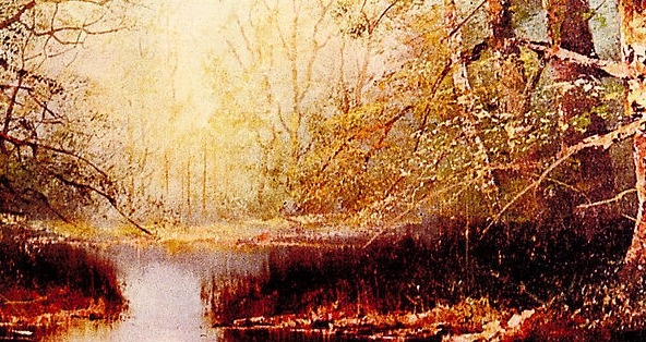 粉象生活用户邀请码