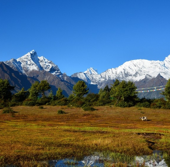 粉象生活能赚到钱吗