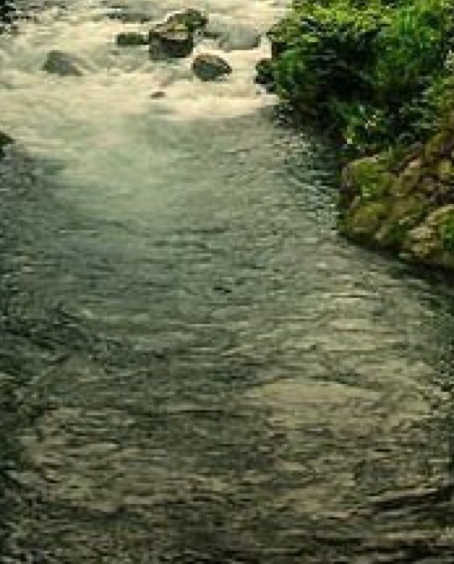 粉象生活日推广50人