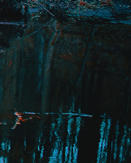 粉象生活粉丝怎么增加