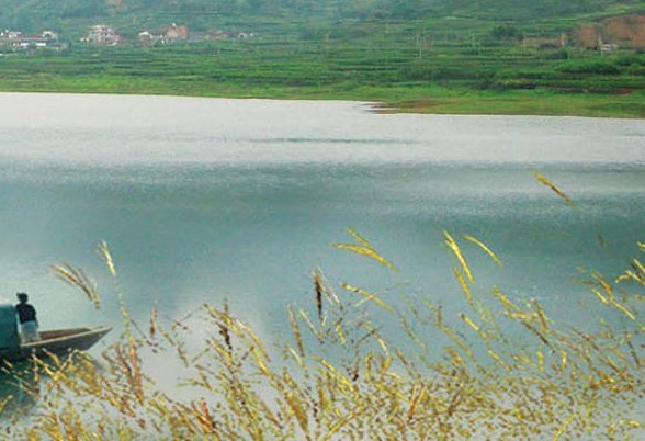 粉象生活邀请码