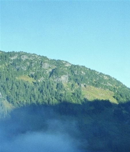 粉象生活上买东西如何付款