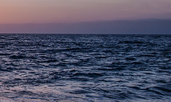 粉象生活招商总监