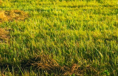 于是生活像极了生活书定价