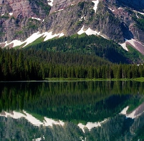 粉象生活能赚到钱吗