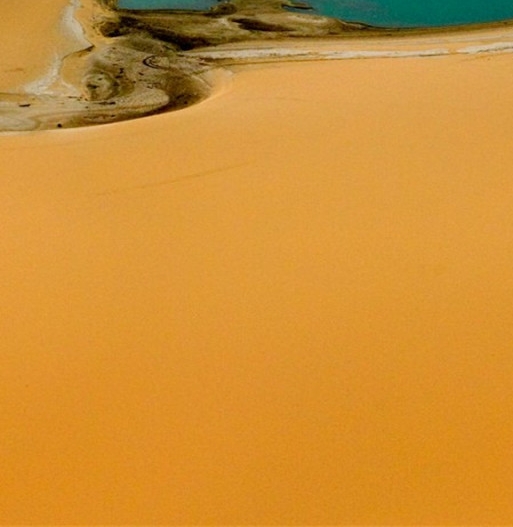 粉象生活下载app