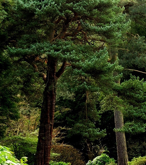 生活中有哪些副业可以做