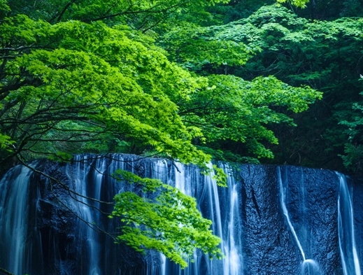 粉象生活合法吗