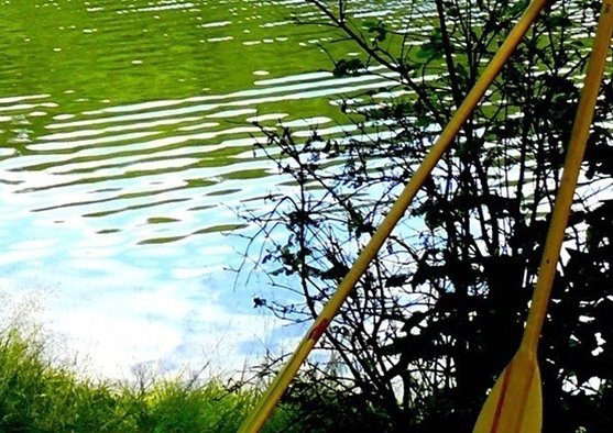 粉象生活分现金页面截图