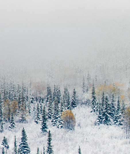 省钱快报与粉象生活的区别