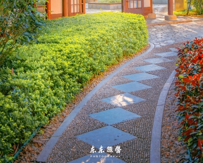 粉象生活一天几百是真是假
