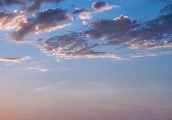 粉象生活vip可以退款