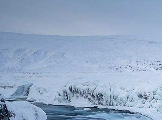 买手妈妈和粉象生活哪个好