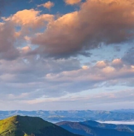 粉象生活是干什么的?怎么赚钱