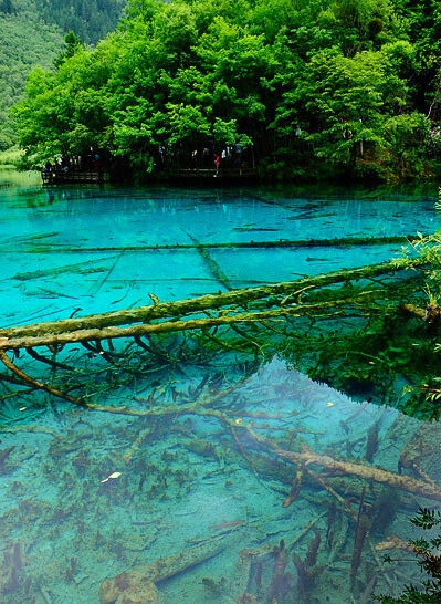 粉象生活关闭振动