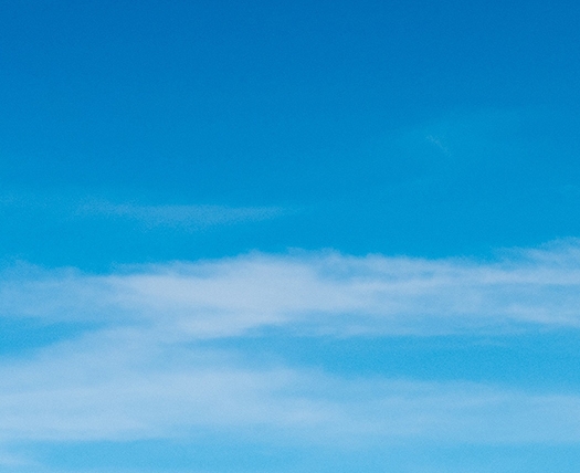 粉象生活下载app