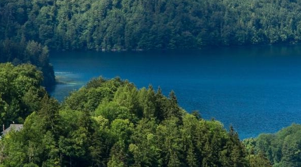 粉象生活发圈了有佣金嘛