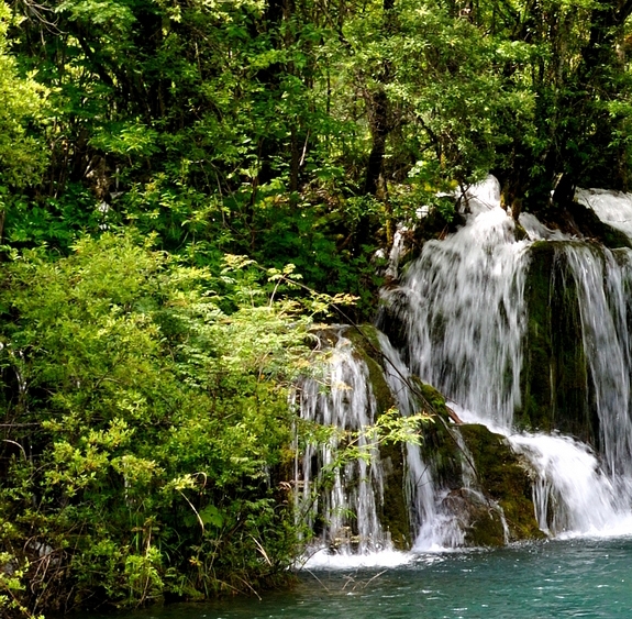 粉象生活平台发货