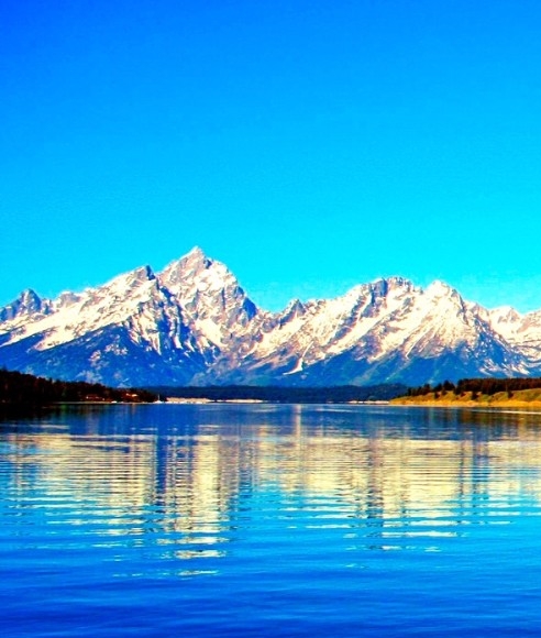 粉象生活是干嘛的