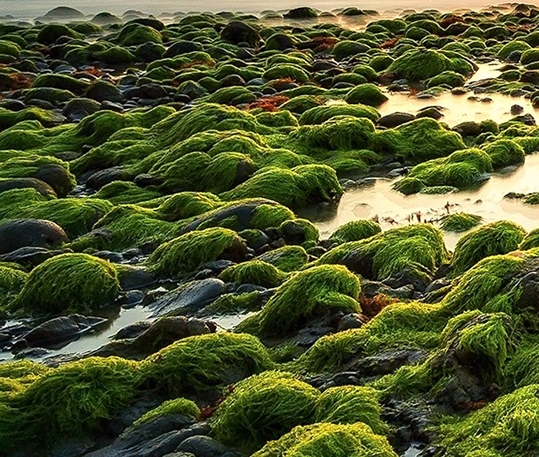 粉象生活优惠券100元