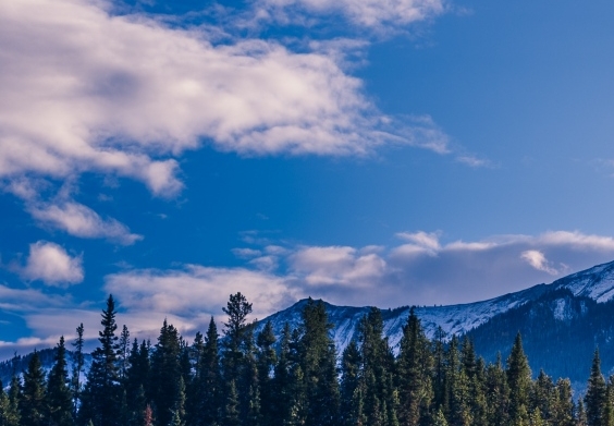 粉象生活能赚到钱吗
