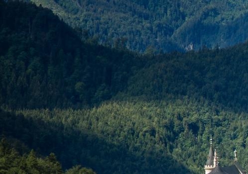 安徽正规粉象生活邀请人