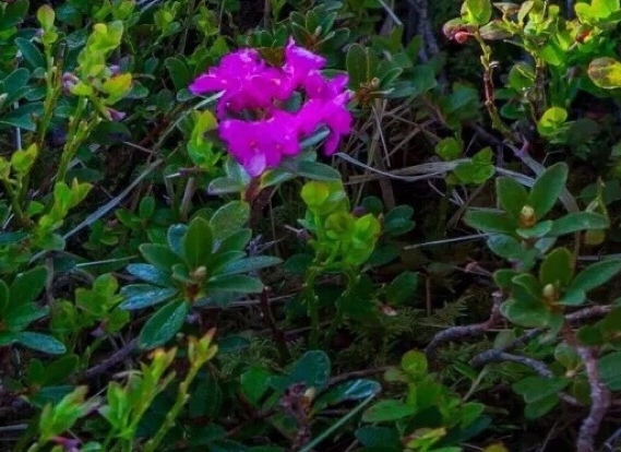 粉象生活怎么赚钱