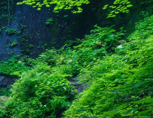 浙江一站式粉象生活怎么样