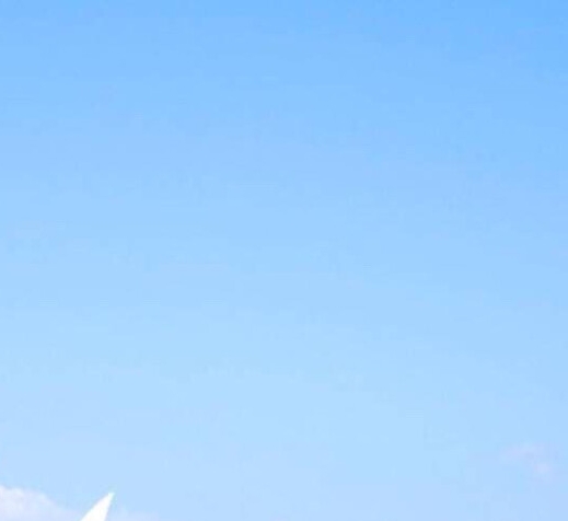 粉象生活怎么赚钱