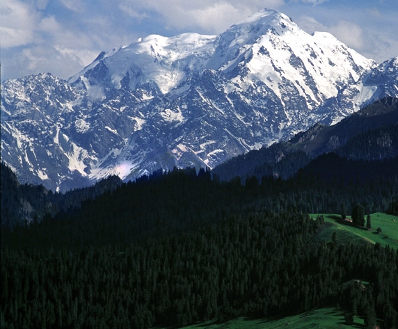 潮州粉象生活合伙人