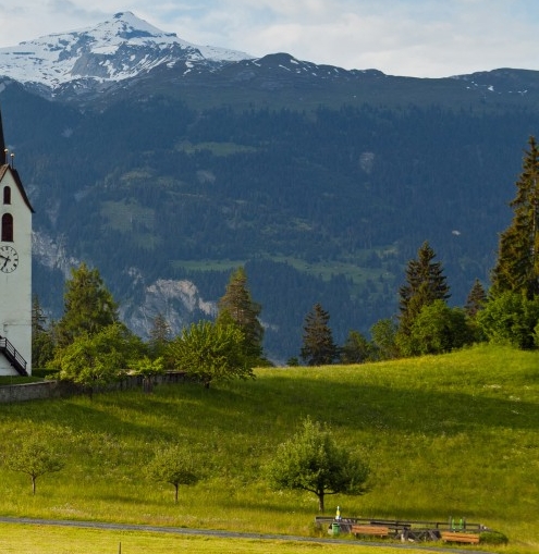 粉象生活的名片