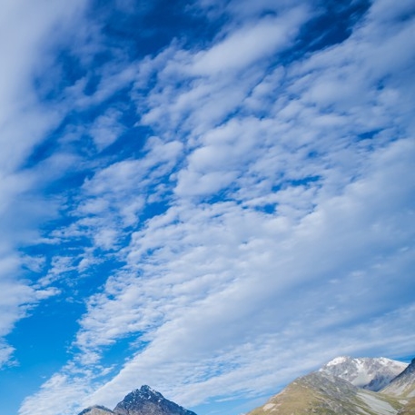 粉象生活怎么推广引流加粉丝