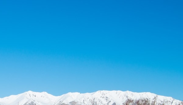 粉象生活安徽码