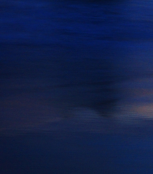 粉象生活收益在哪看