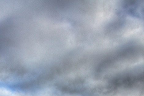 粉象生活能赚钱吗