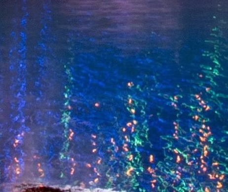 粉象生活如何提现到微信