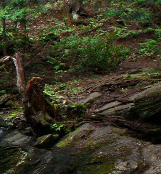 粉象生活电商排名