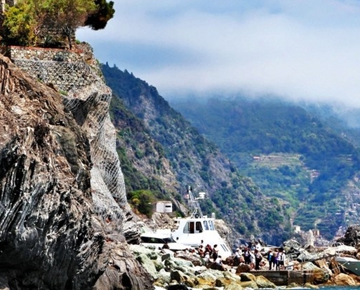 粉象生活适合干什么