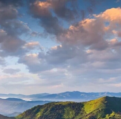 粉象生活粉丝怎么增加