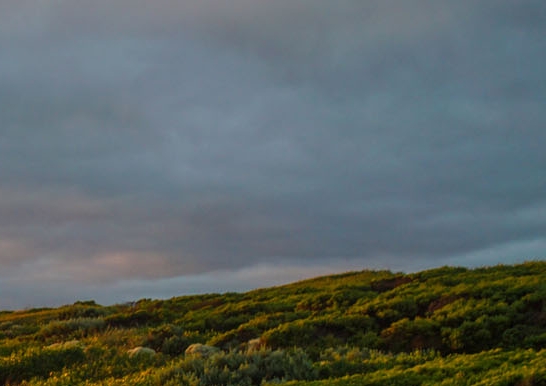 粉象生活怎么样解
