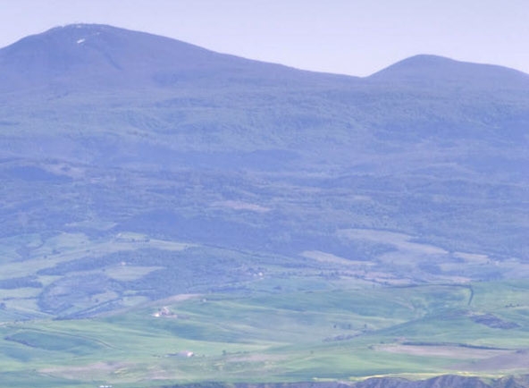 粉象生活vip会员