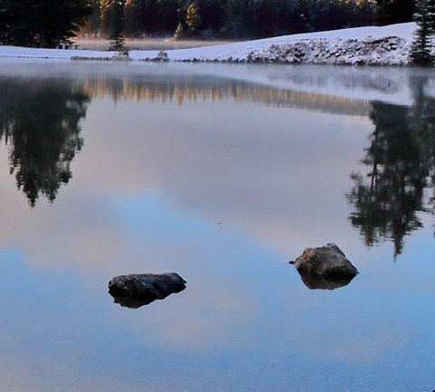 粉象生活图片图库
