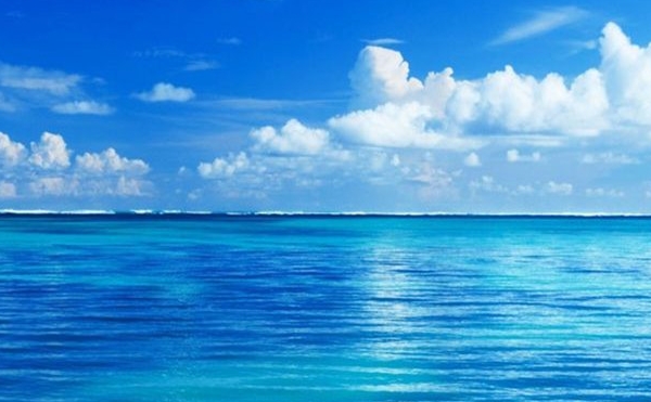 粉象生活2021还能做吗