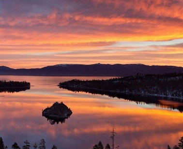 粉象生活下载app