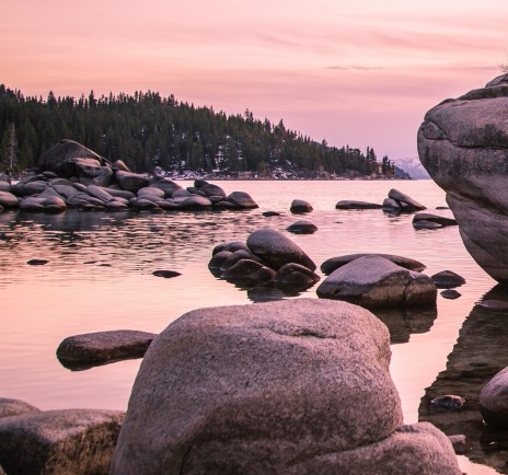 粉象生活指定任务