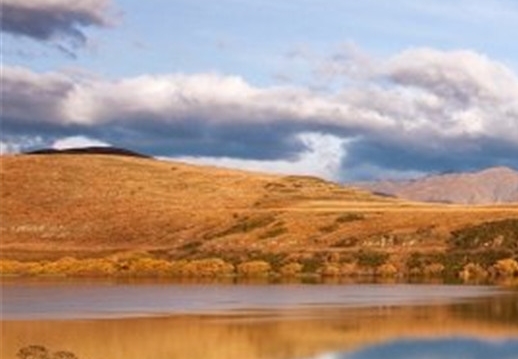 粉象生活收费吗