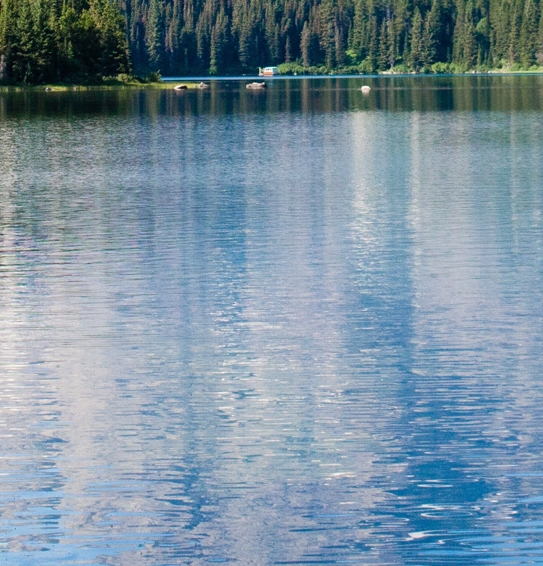 粉象生活为什么这么省钱