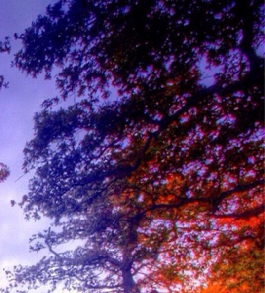 粉象生活新手怎么做